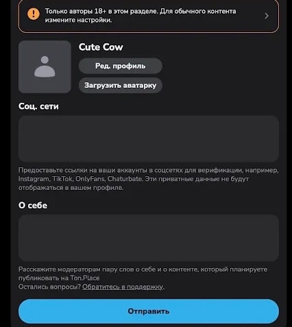 изображение из статьи Что из себя представляет Ton.Place, и сможет ли новая платформа стать заменой старого доброго OnlyFans? 14