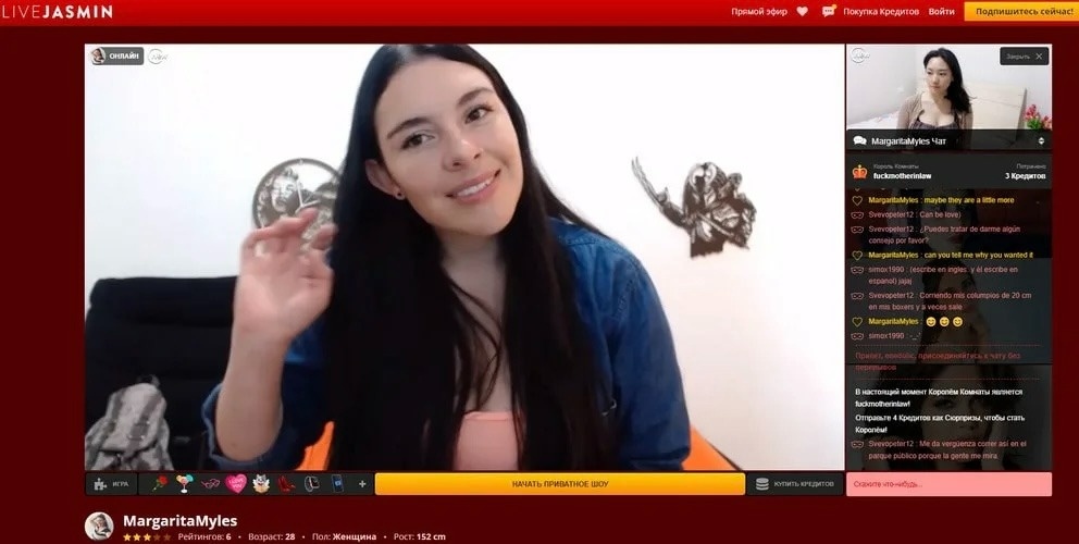 изображение из статьи Все о вебкаме для начинающих: как стать моделью и выйти на высокий доход 64